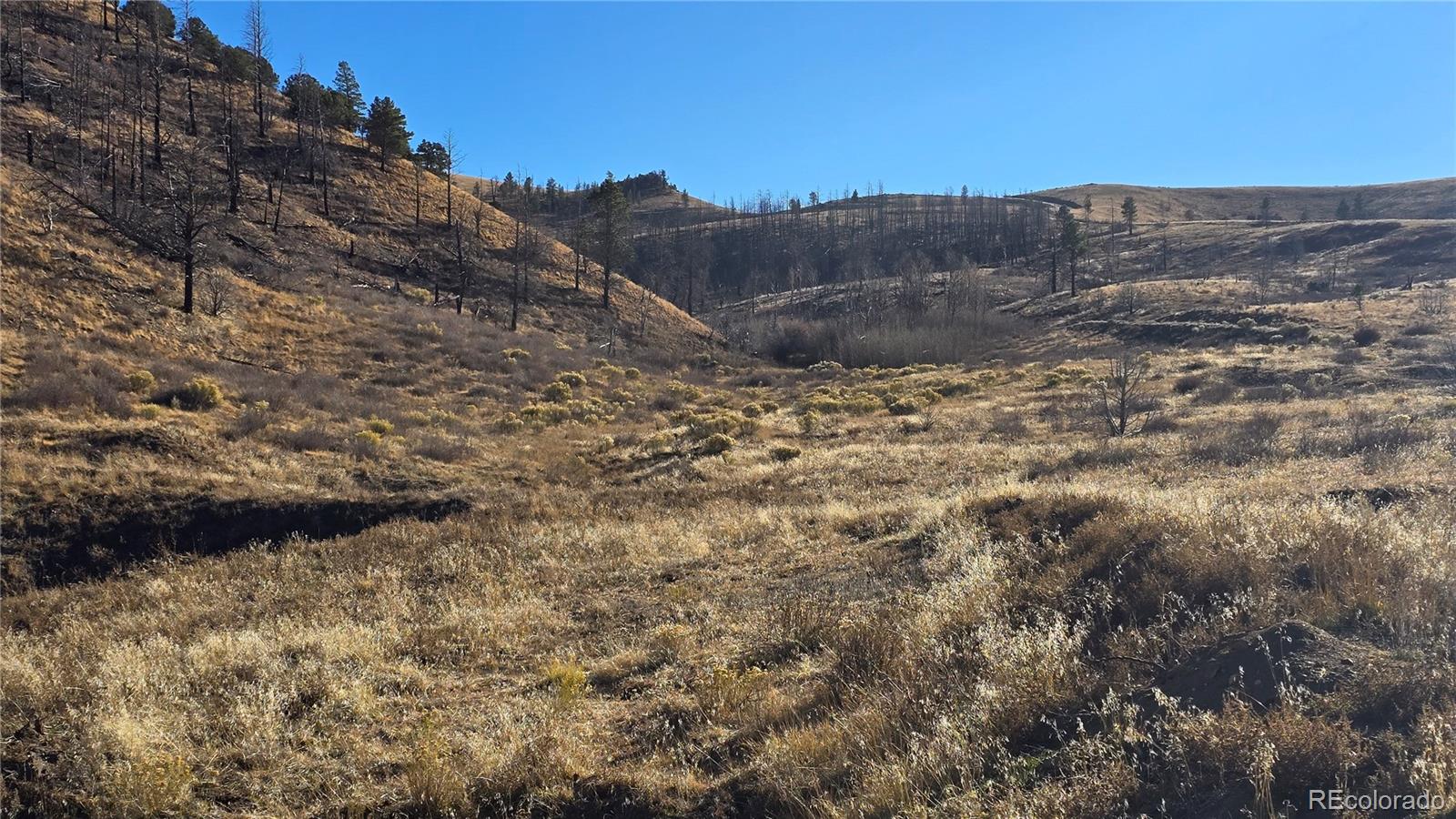 7741 Van Giesen Road