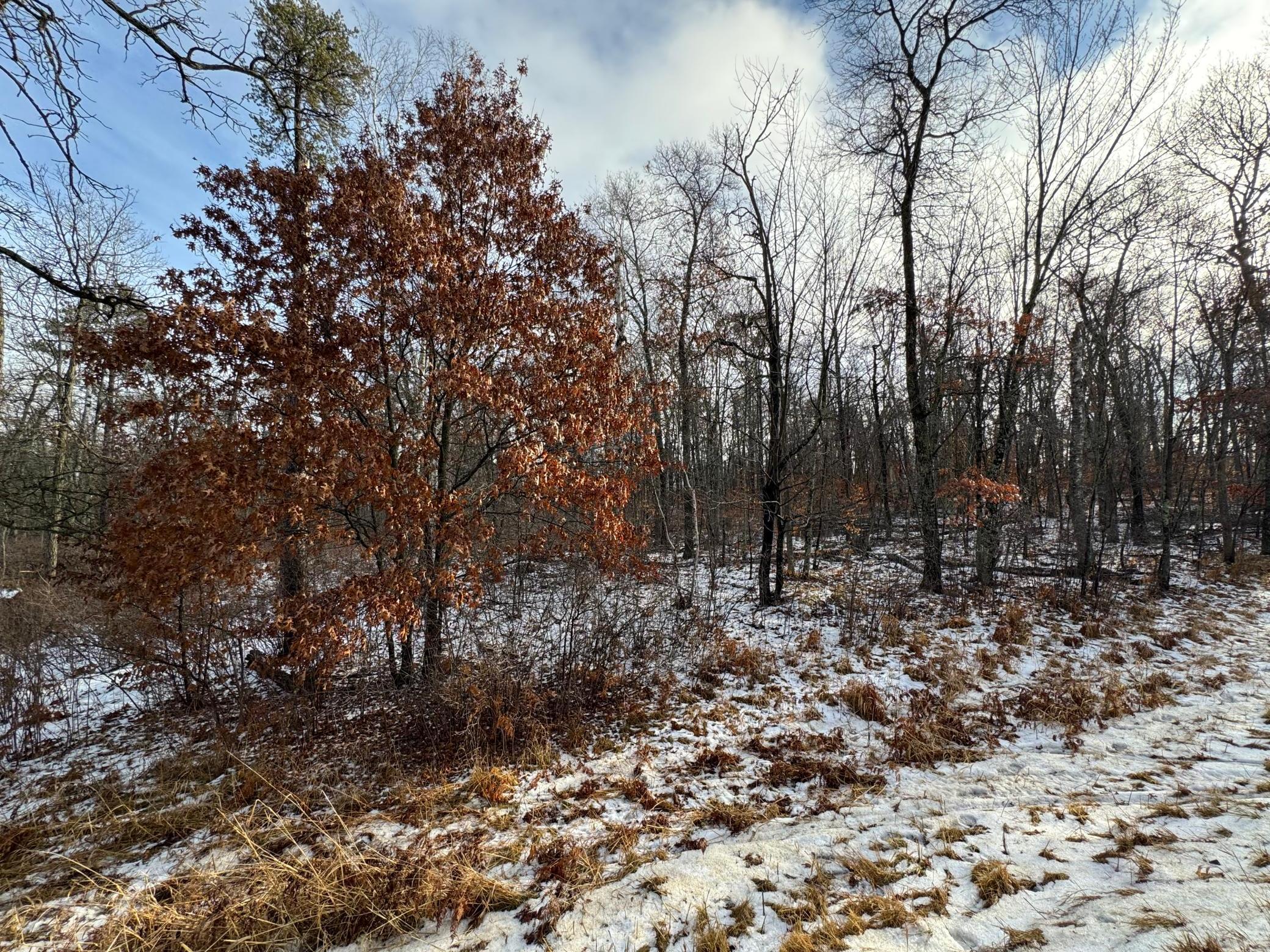 Lot 43 Ranchette Drive
