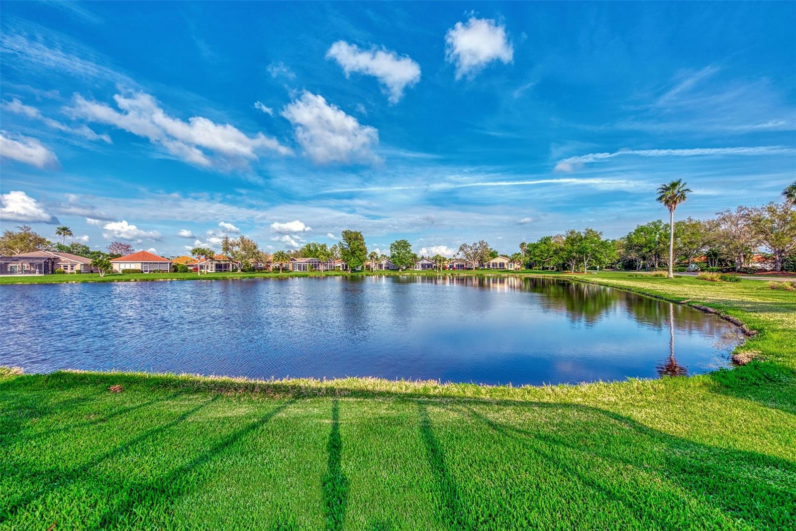 3155 Osprey Lane