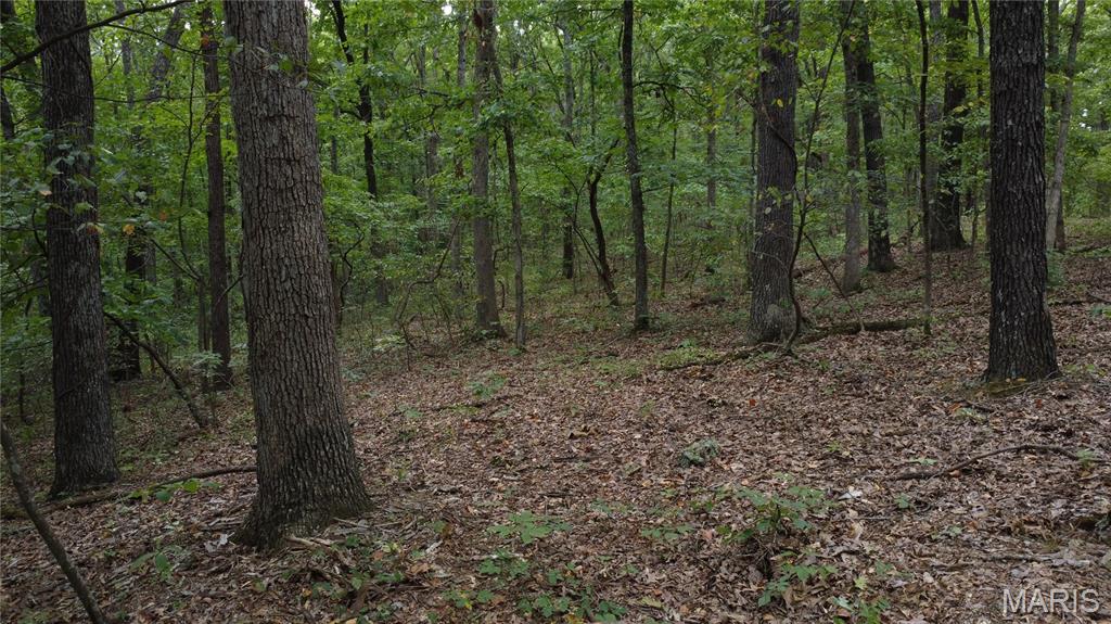 10223 San Juan Trail