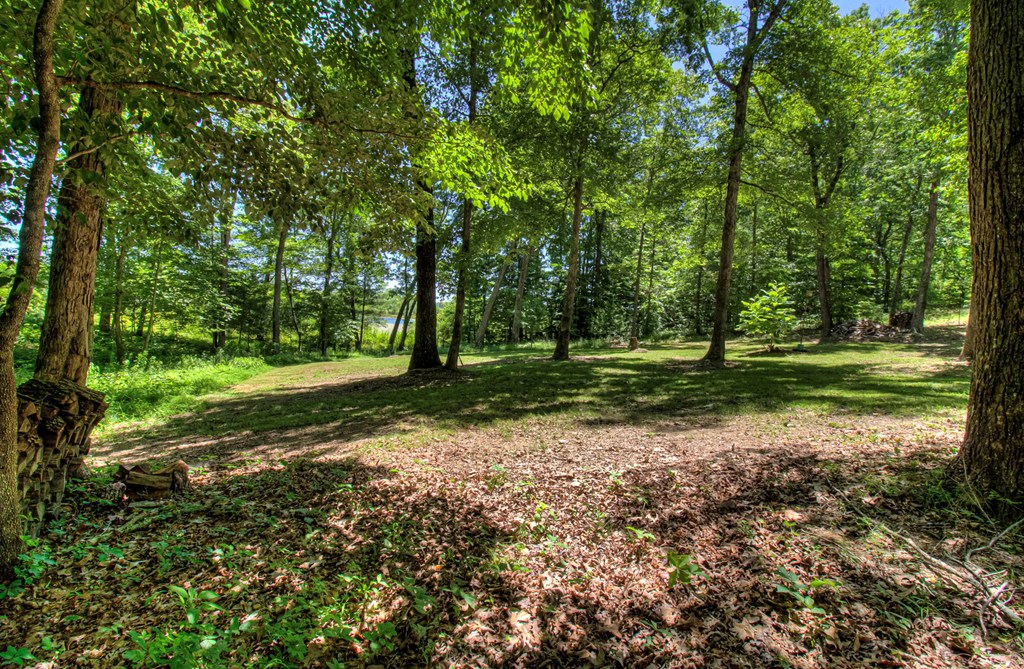 2240 Smith Mountain Rd