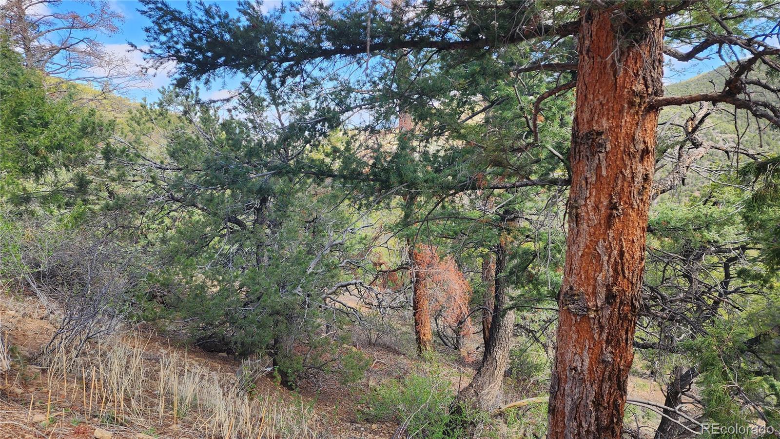 5040 & 5041 Mamouche Road