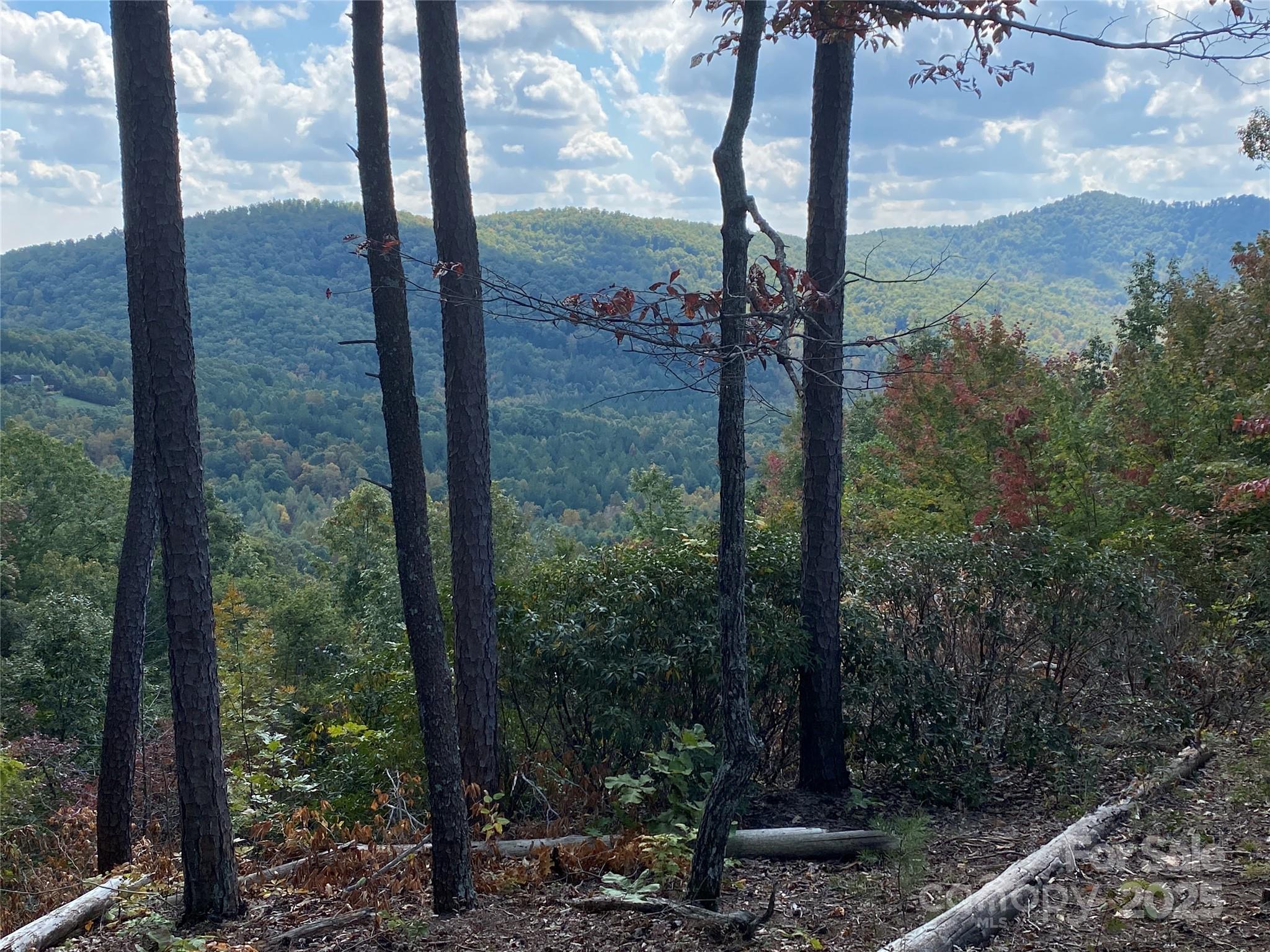 61 Scenic Vista Drive 238