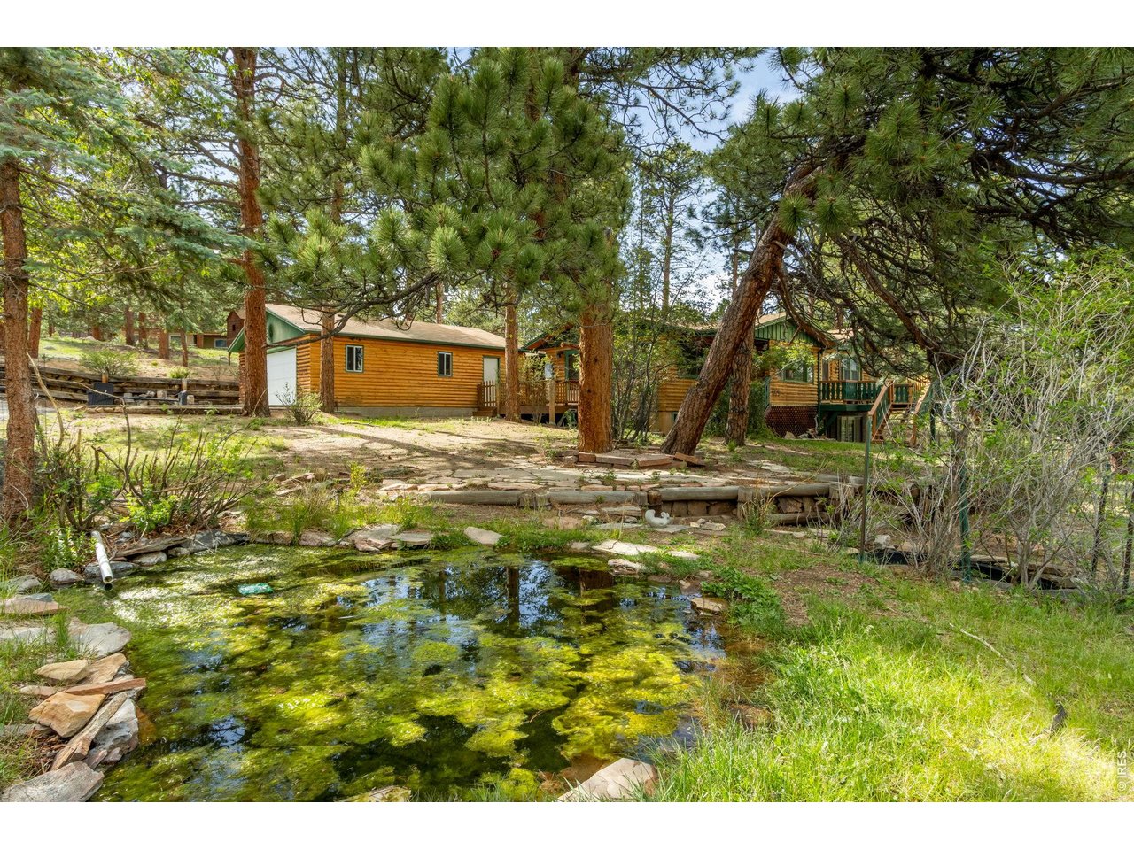 Imagine waking to the sound of wind through the pines, sipping coffee on your deck while elk wander quietly through the trees, and ending the day beside a crackling fire after exploring Rocky Mountain National Park. At 1026 Lexington Lane, this isn't a vacation-it's everyday life. Nestled on a secluded .71-acre wooded lot in desirable Village Acres, this mountain retreat blends rustic charm with thoughtful updates and the privacy buyers dream about. Sunlight filters through towering pines, creating a peaceful setting that feels miles from everything, yet remains conveniently close to downtown Estes Park. Inside, warm wood floors, radiant heat, and an inviting fireplace create a welcoming atmosphere throughout the main level. The kitchen serves as the heart of the home, featuring a gas range, live-edge island, and seamless connection to the dining and living spaces. Three bedrooms and two baths on the main level provide comfortable single-level living. The walkout lower level expands the possibilities with a spacious recreation area, fourth bedroom, and additional bath-perfect for guests, hobbies, or multi-generational living. Outside, an expansive composite deck overlooks a rare spring-fed pond, native grasses, and mature evergreens, creating a backyard sanctuary unlike anything you'll find in a typical mountain property. A detached two-car garage offers plenty of room for vehicles, gear, and all the toys that come with the Colorado lifestyle. This is more than a home-it's the Estes Park experience buyers move here to find.