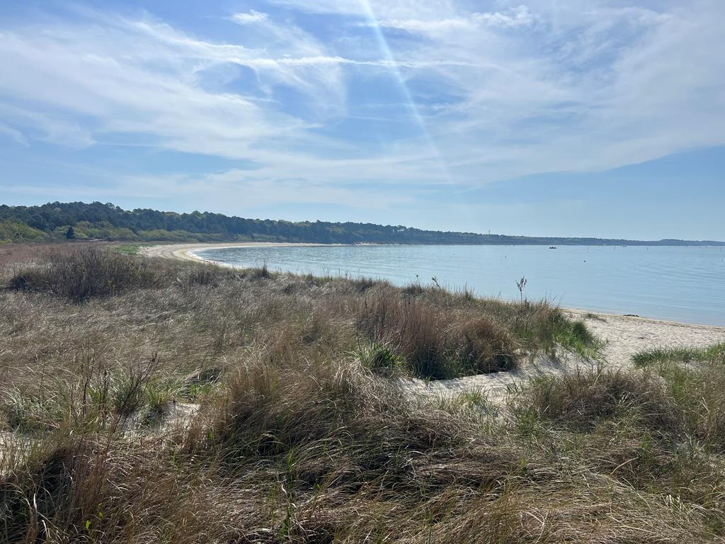 Lot 50 Butler's Bluff Dr 50&1B