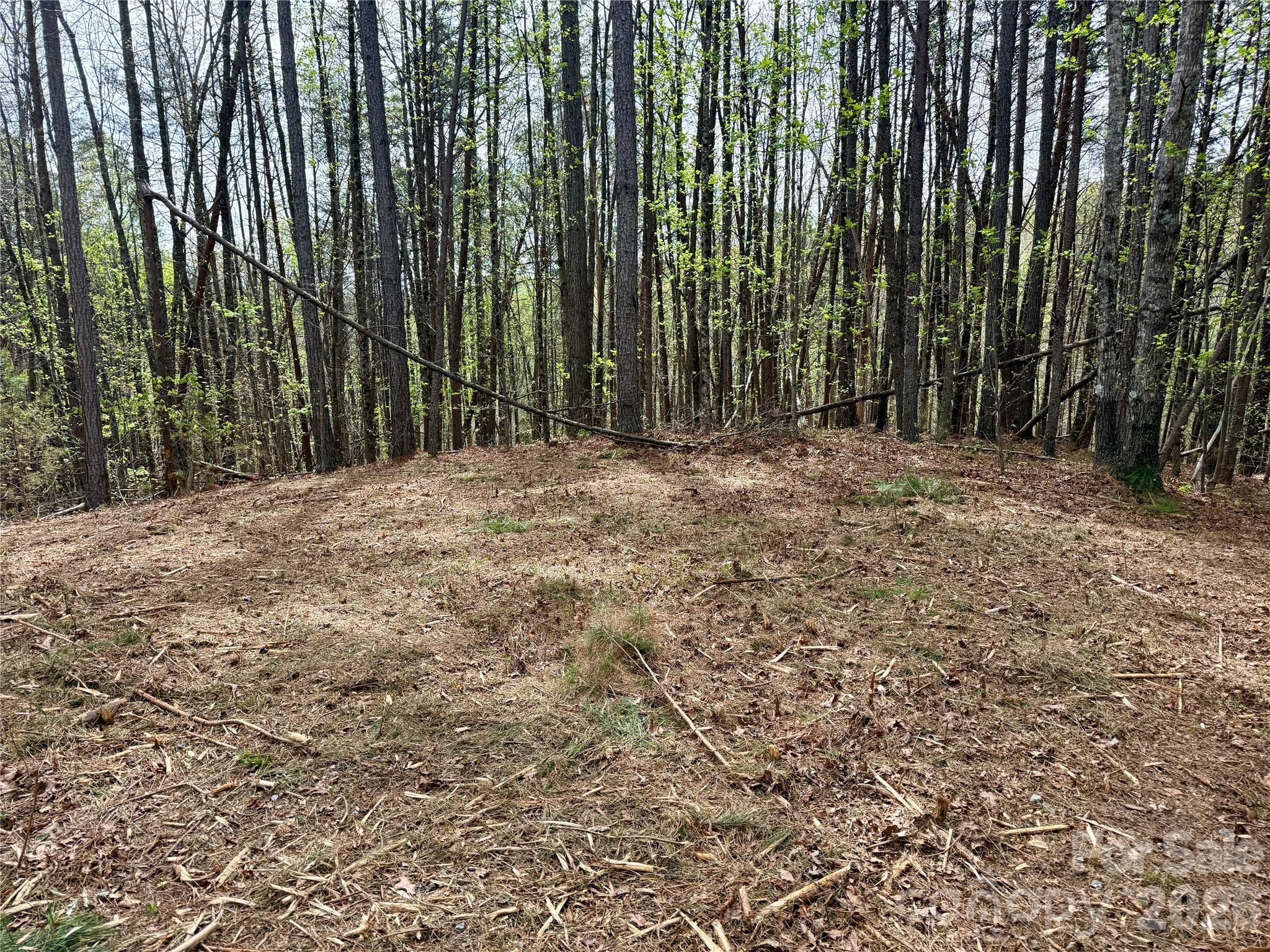 Lot 488 Bella Vista Way 488