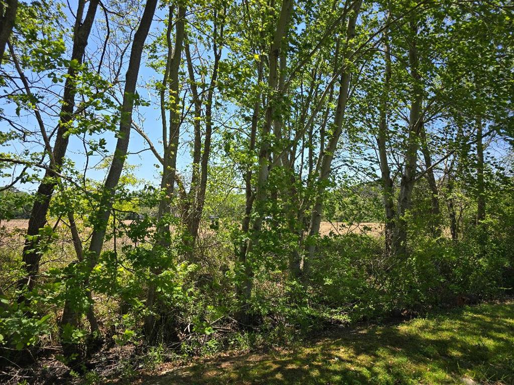 Farmette or multiple home sites with this residential zoning,12.28 acres. Excellent elevations, 95 % cleared, with road approximately 1,200' along Duncan Dr. and access from highway on a paper road. Not in a flood zone, BFE 2'. doesn't get better here on the Eastern Shore for elevations. Conveniently located near towns in a peaceful neighborhood.