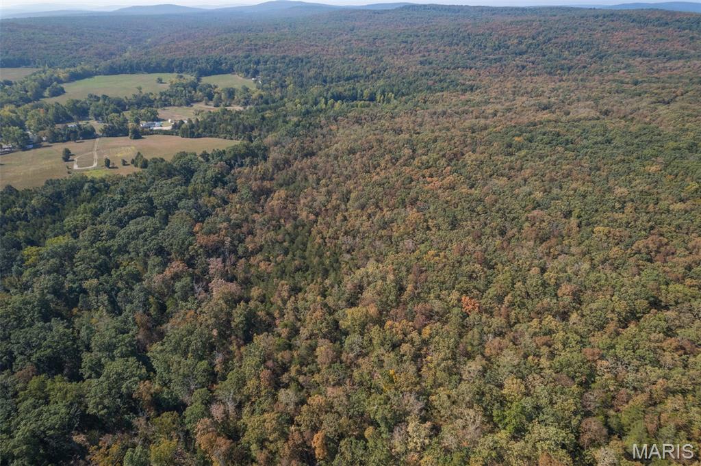 12.5+/- Acres On Effin Road