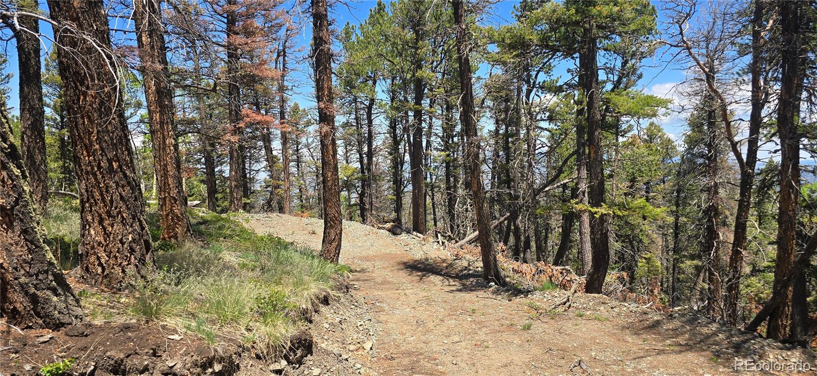 Lot 5546 Balleroy Road