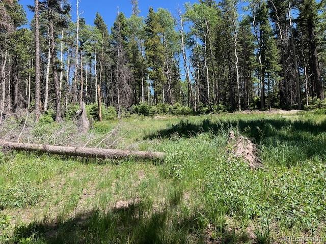 Lot 2449 Petito Drive