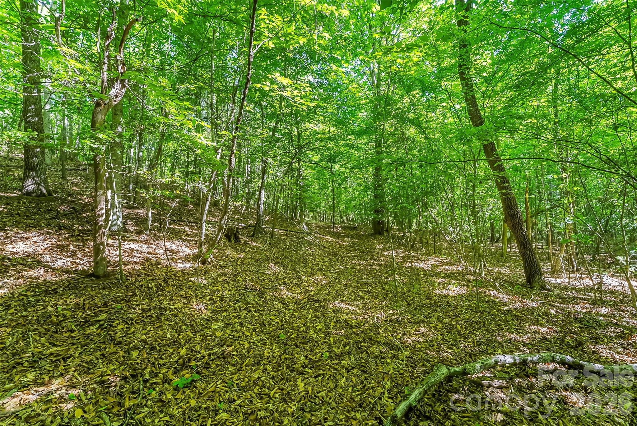 3495 Irish Hills Road 3