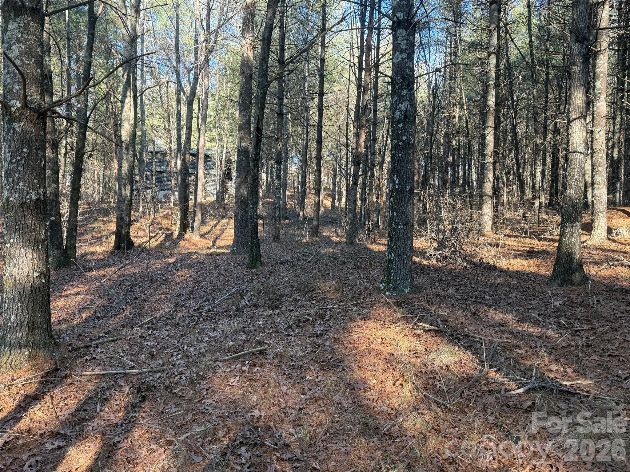 1291 Scenic Vista Drive 288