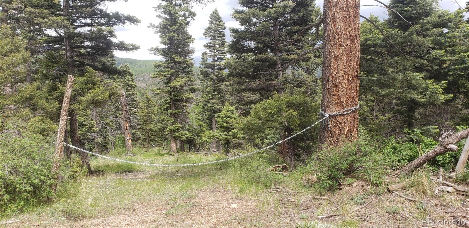 Lot 6388 Jaquez Road