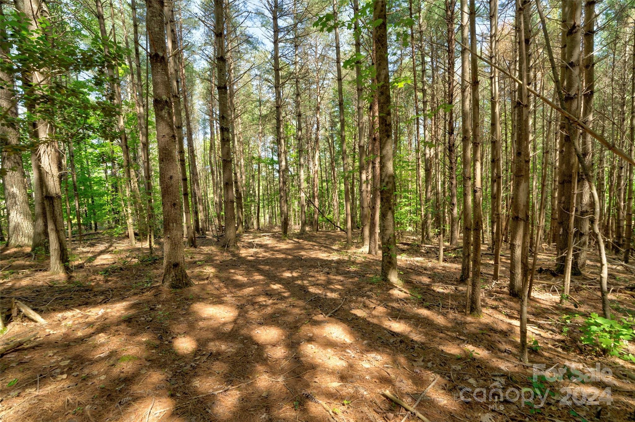 1634 Old Dry Creek Road 20