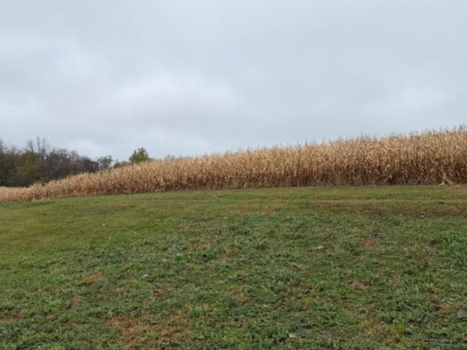 33100 Saint Olaf Way