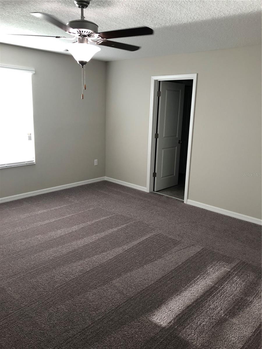10103 Crested Fringe Drive