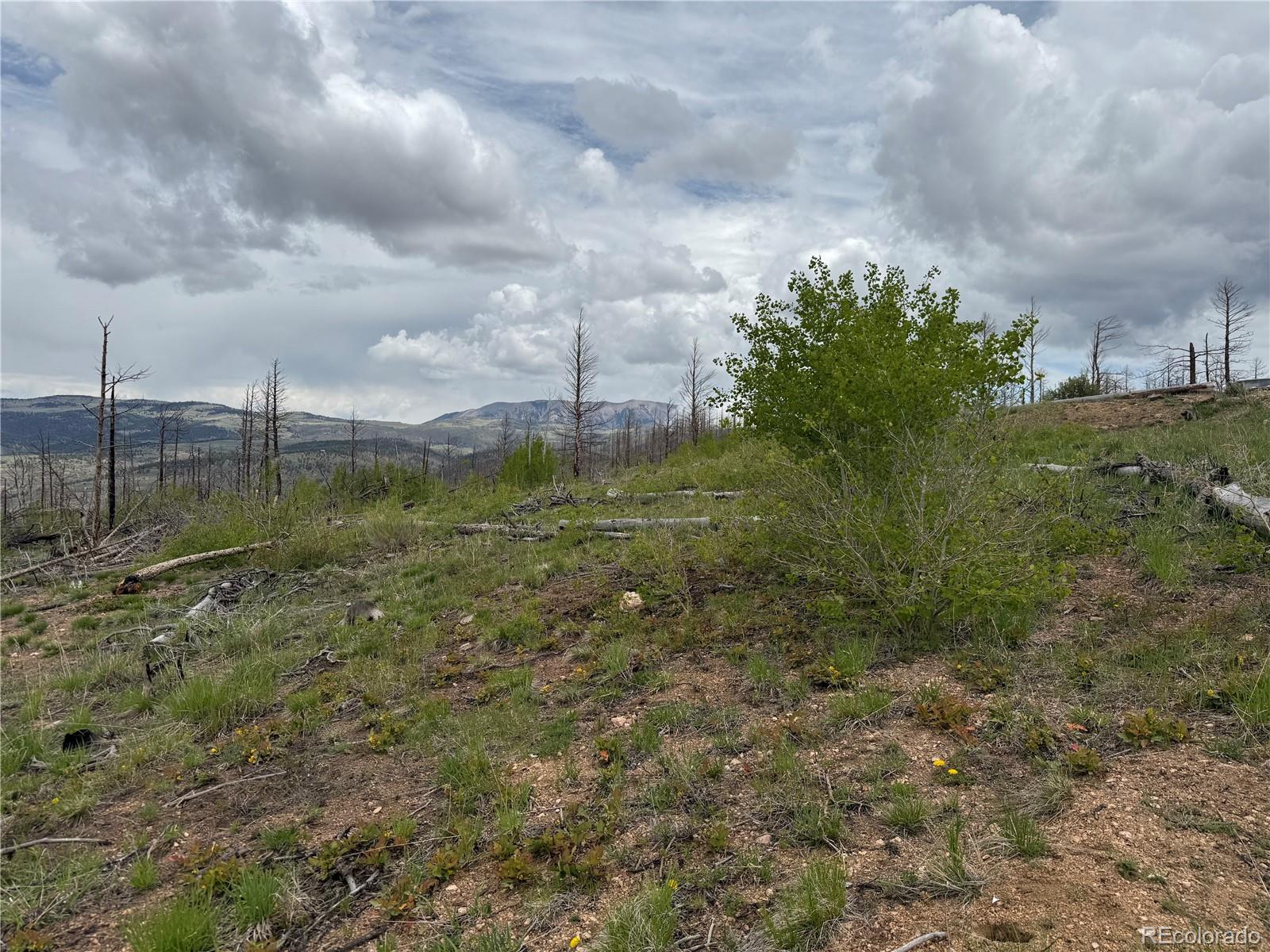 Lot 383 Soubry Place