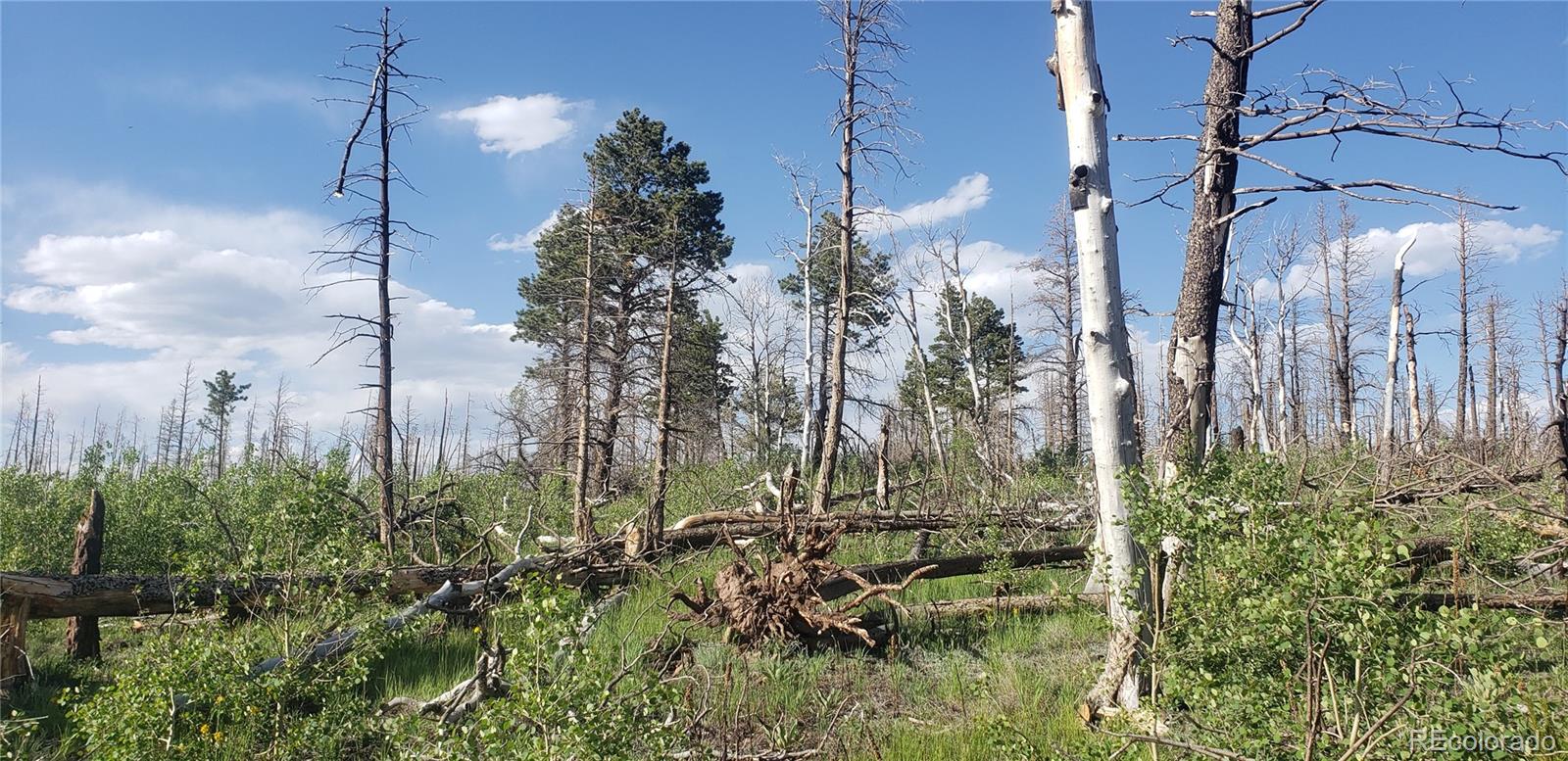 Lot 1406 Emery Loop