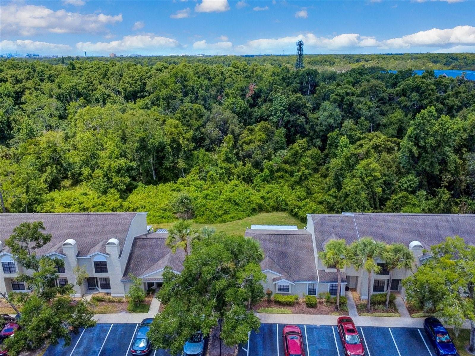5100 Burchette Road 3200