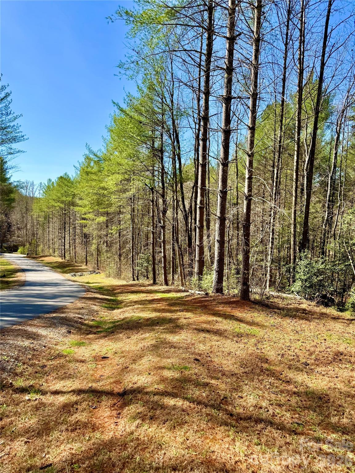 6129 Painted Ridge Trail Lot 739