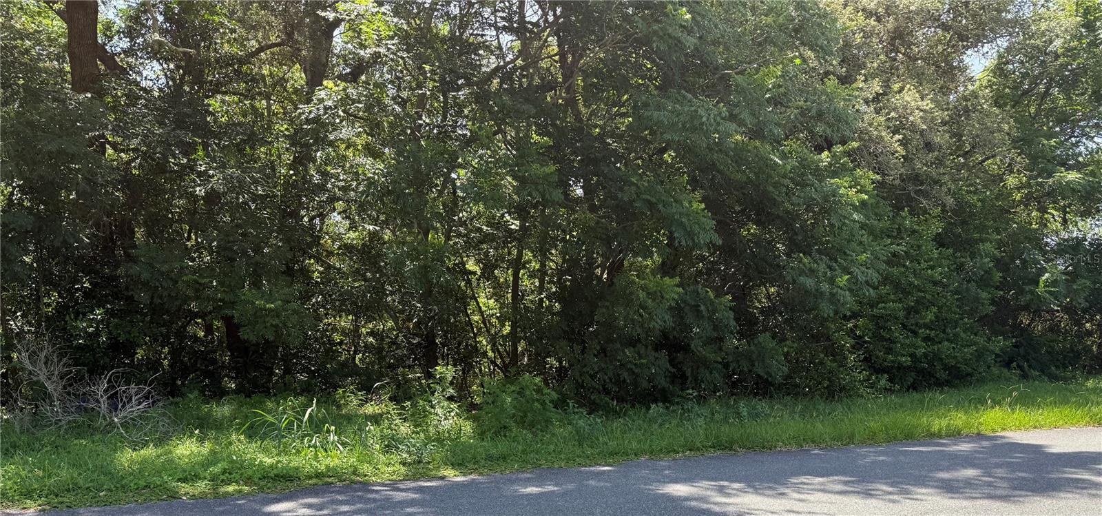 Hutchinson Way