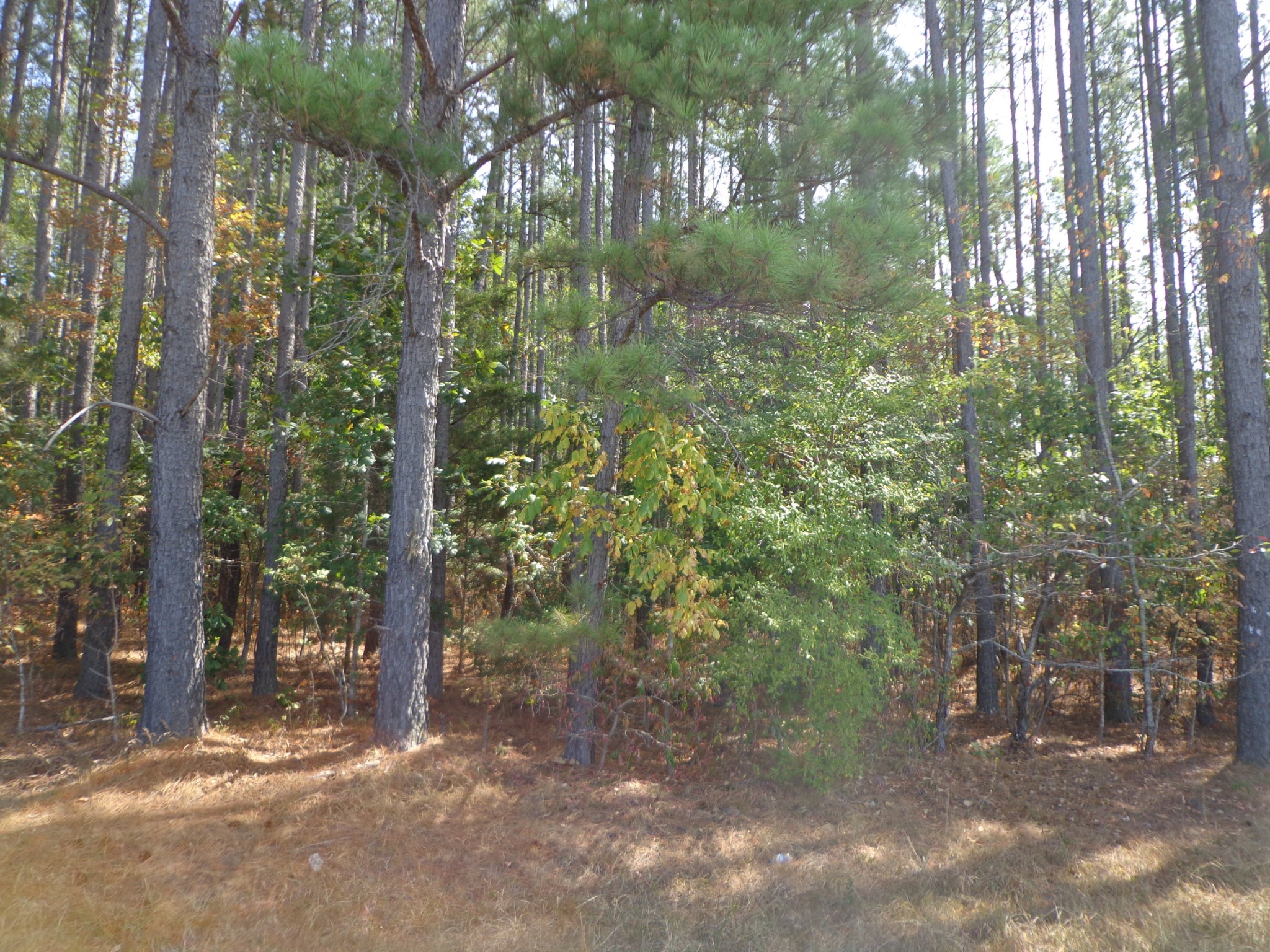 0 Tennessee Ridge Road