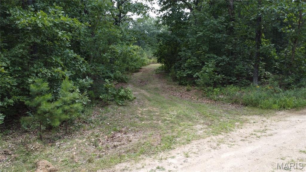 0 Singer Trail 3.84+/-Ac