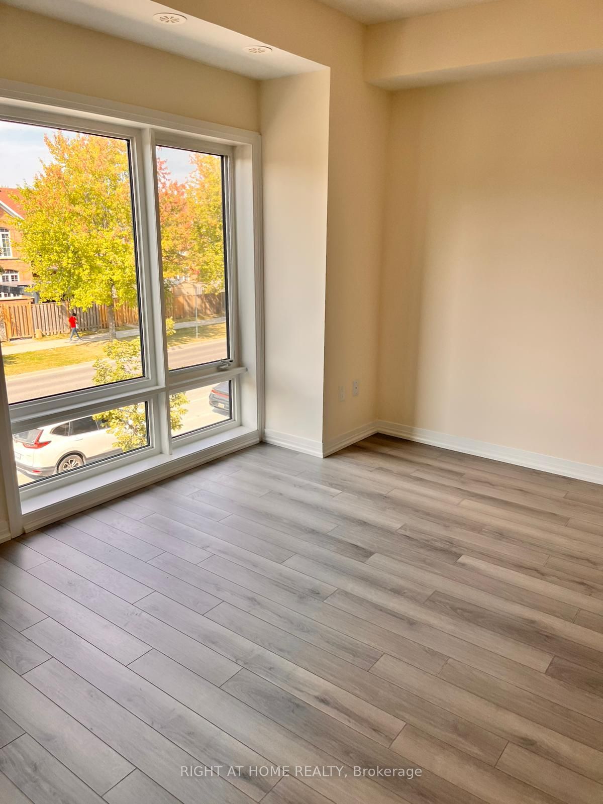 245 Mclevin Ave 19