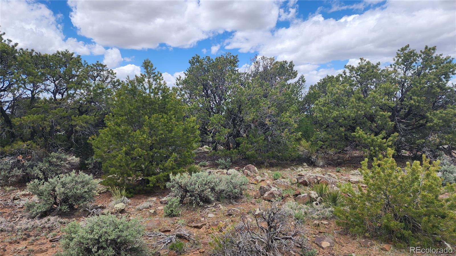 Lot 26 Alta Mesa Drive