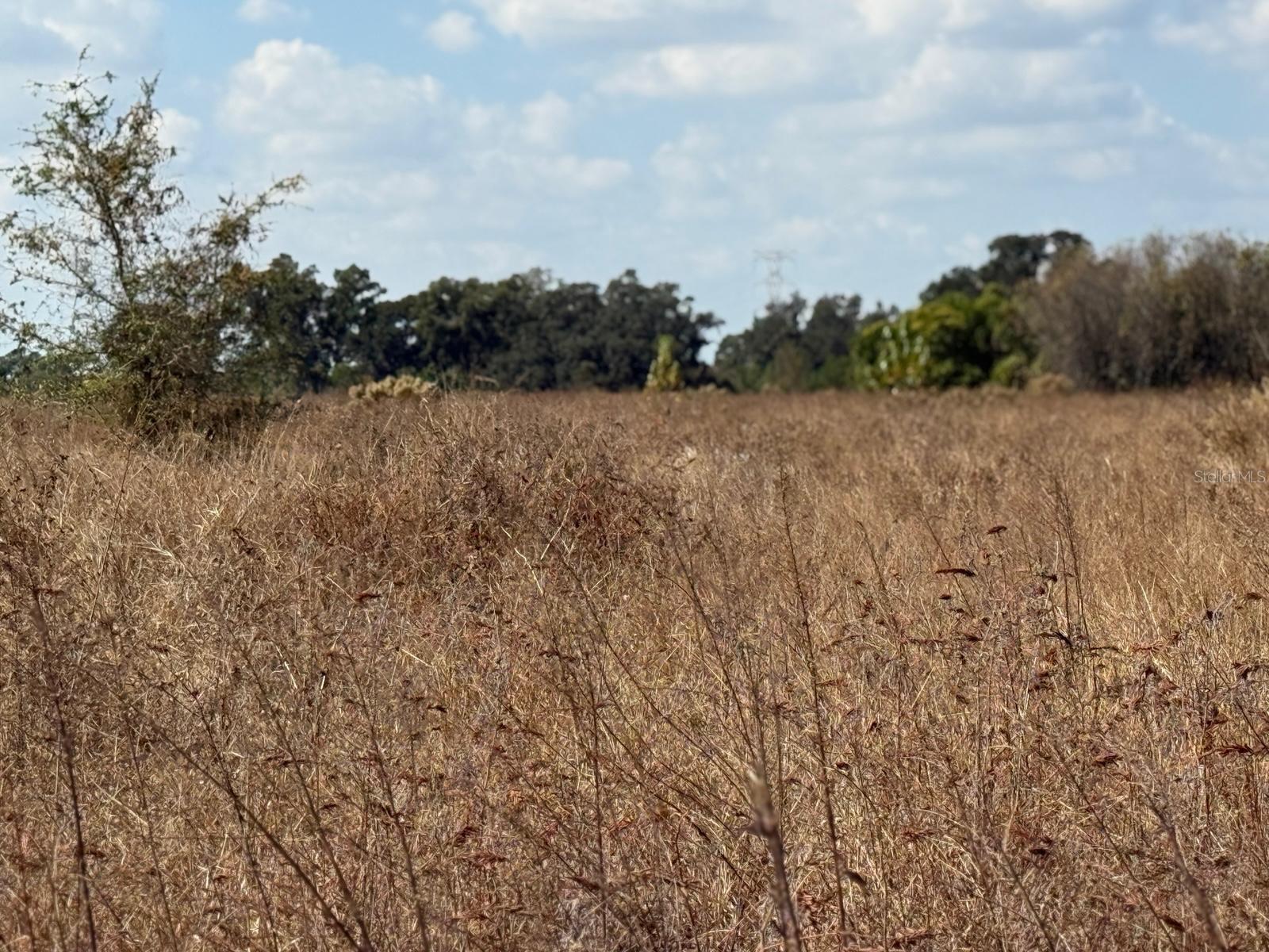 12828 Fort King Highway