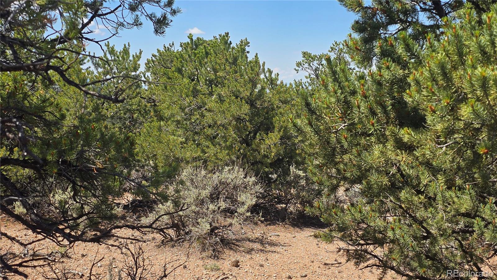 Lot 1615 Dunn Road