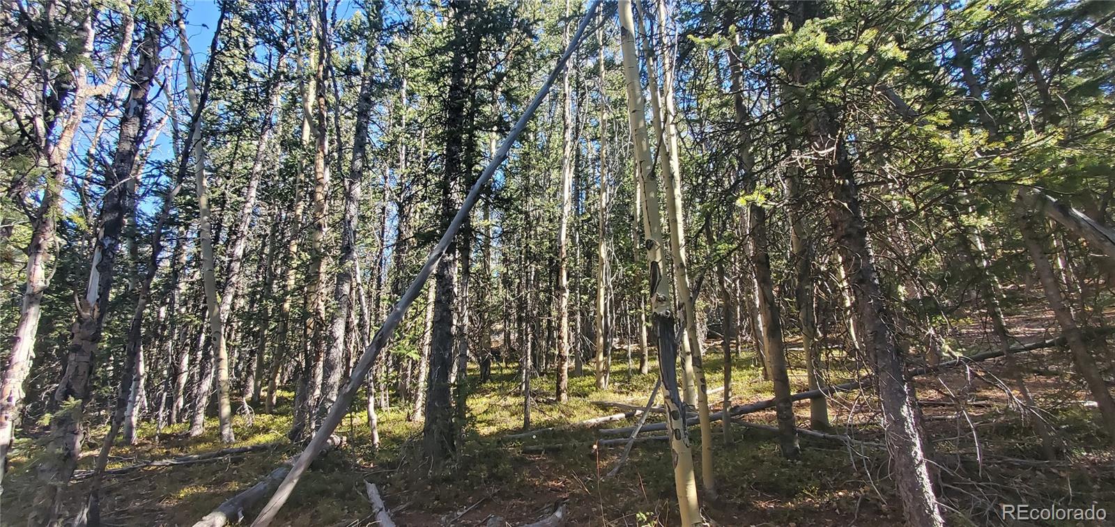 Lot 6581 Ackerman Road