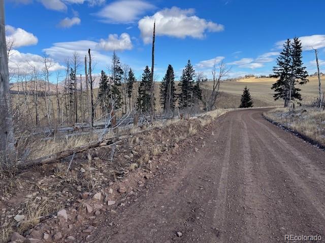 Lot 2397 Petito Drive