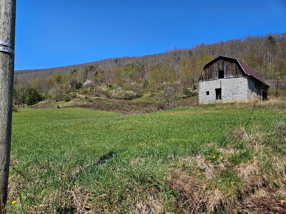 32.77 acres of land that offers everything you could want in the country but just minutes from the town of Chilhowie!  Plenty of space for your dream home, a mini farm, hunting land and more!  The all block barn is ready to be used again and there's pasture and hay for your animals.  Take a hike behind the barn to your own piece of privacy and views from the mountain where you will see plentiful wildlife!  For water you have the option of an approximately 80 ft deep artisan well and/or the availability of public water. Come on and see what could be yours!