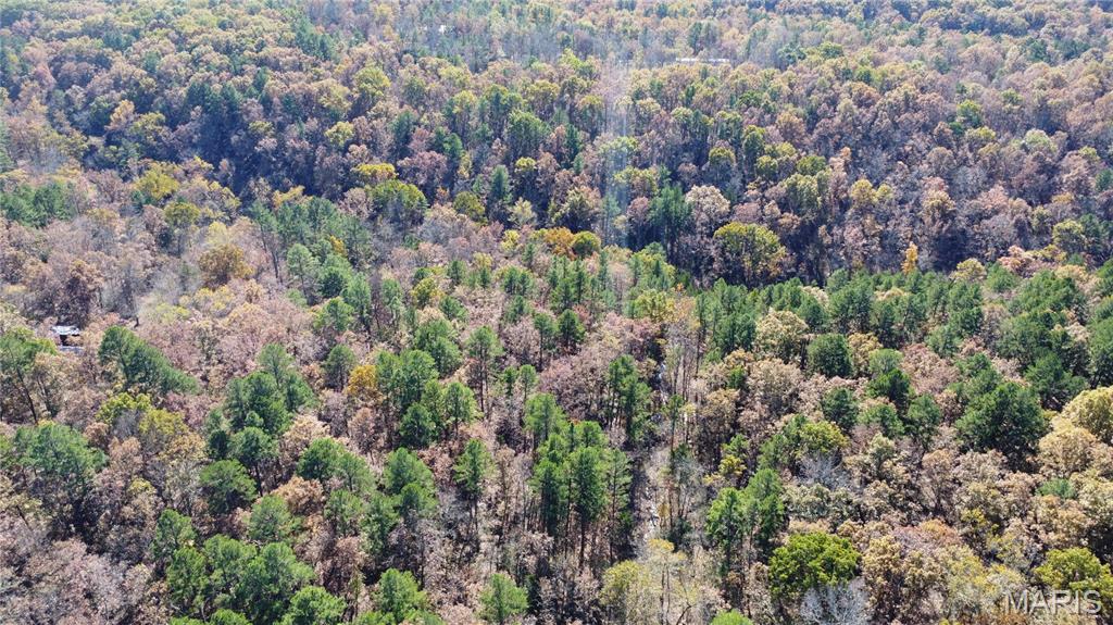 10256 Christina Trail