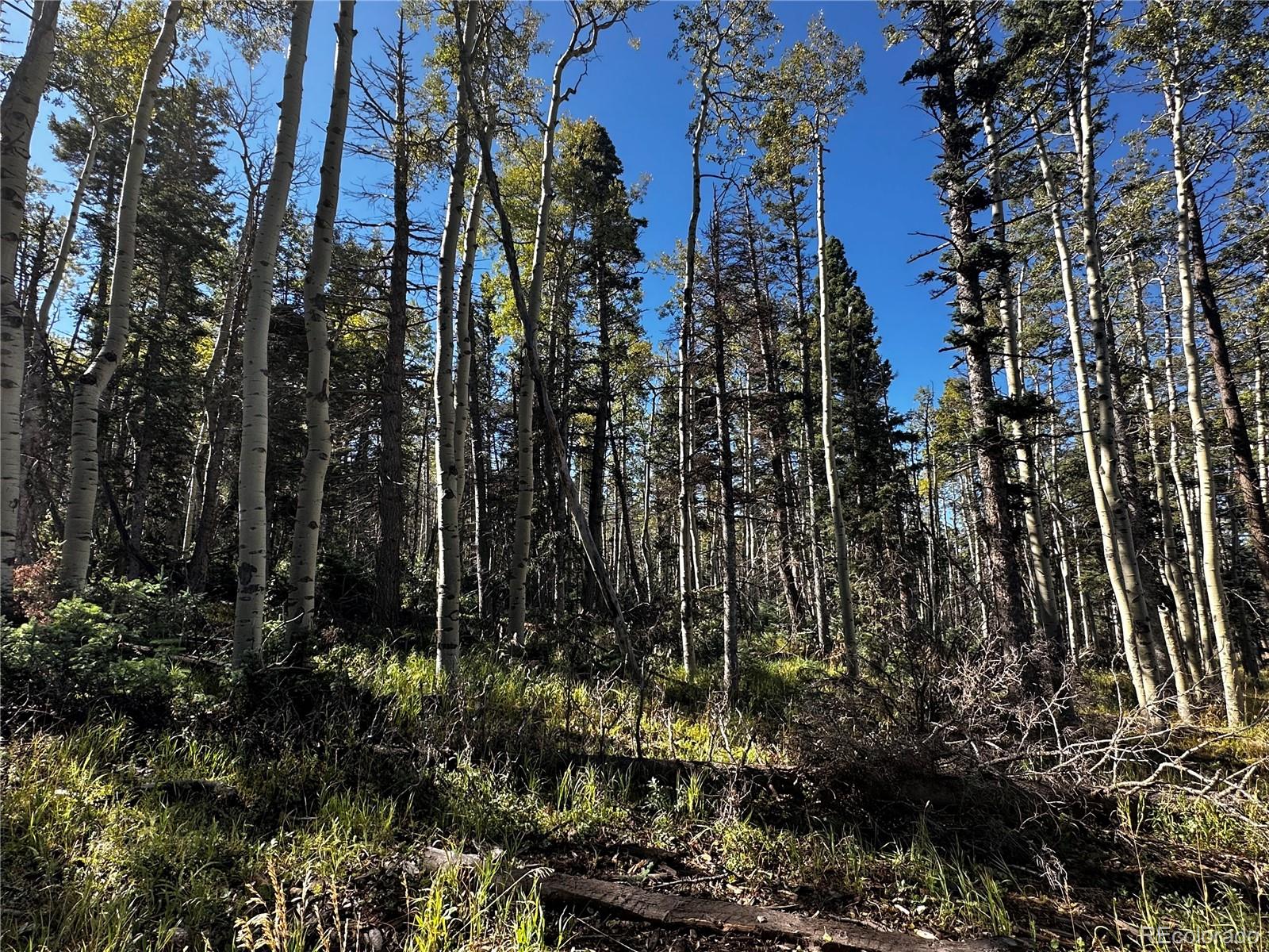 Lot 2652 Petito Drive