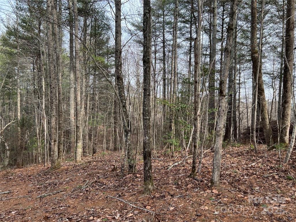 Lot 77, 1712 Round Mountain Parkway Lot 77