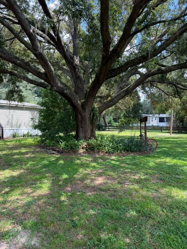 10217 Quinn Road