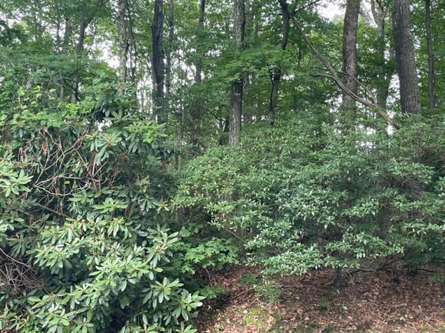 Beautiful Level lot full of nature, mature trees and lots of rhododendrons.  Easy buildable lot and within walking distance of the Blue Ridge Parkway!  The lot is located in a wonderful community of Groundhog Mountain which also has community  well and septic available.  Amenities include community building, tennis courts, fishing pond, hiking trails along with the best neighbors!  HOA  includes trash disposal, road maintenance and use of the amenities.