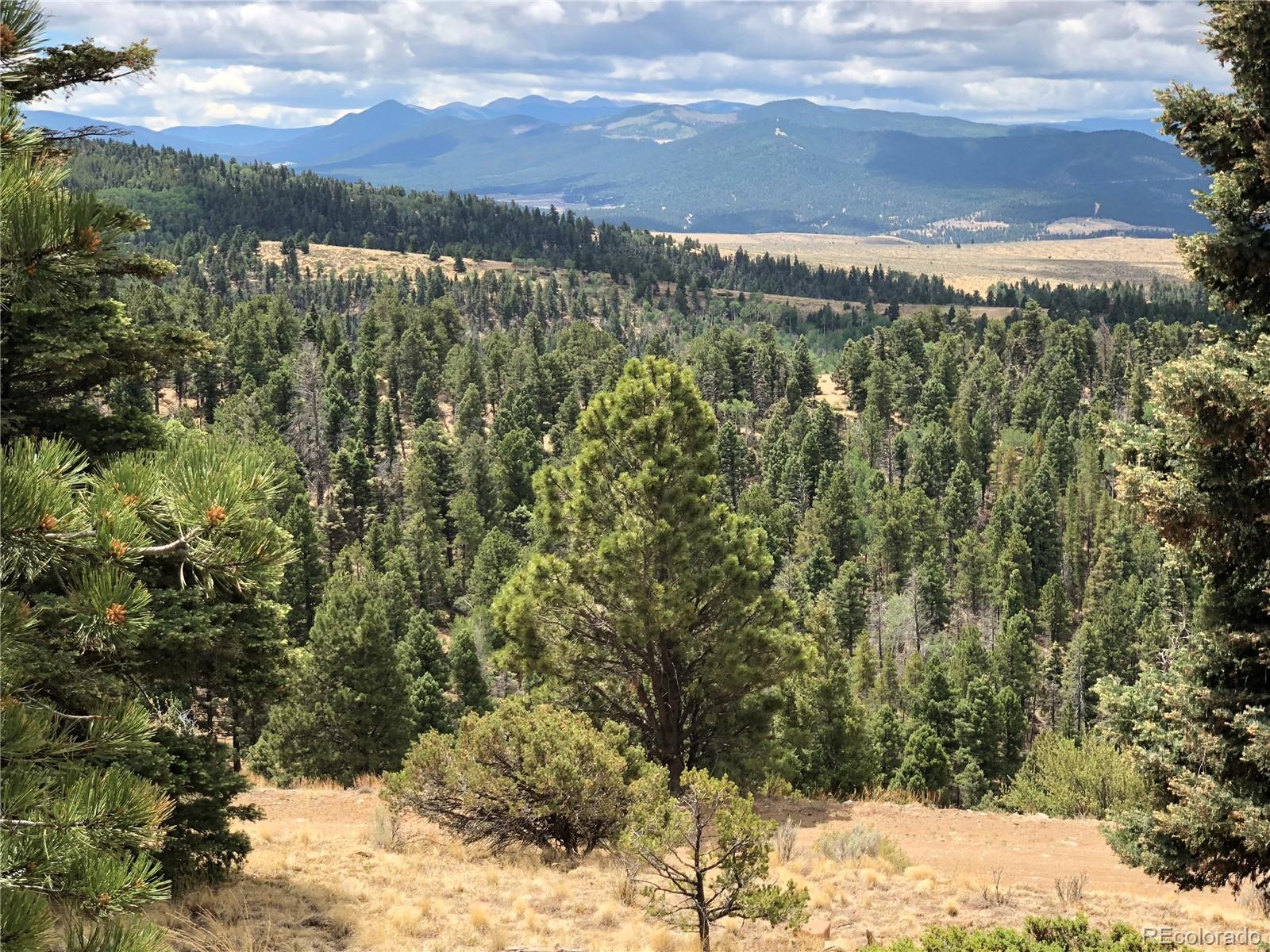 Lot 174 Ferris Place