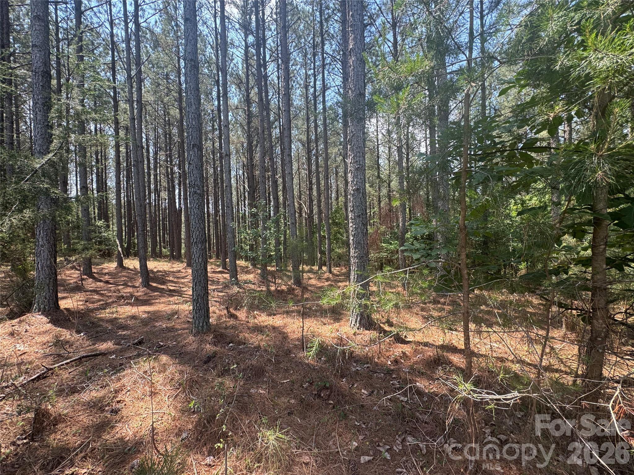 105 Stoney Brook Trail