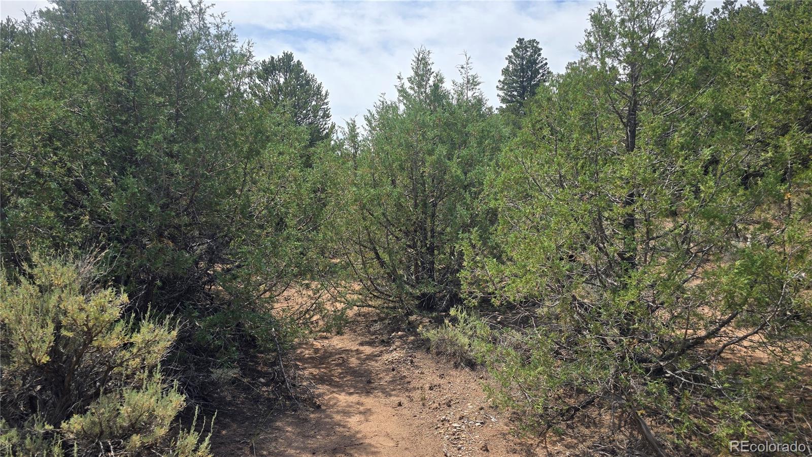 Lot 7892 Tiernan Road