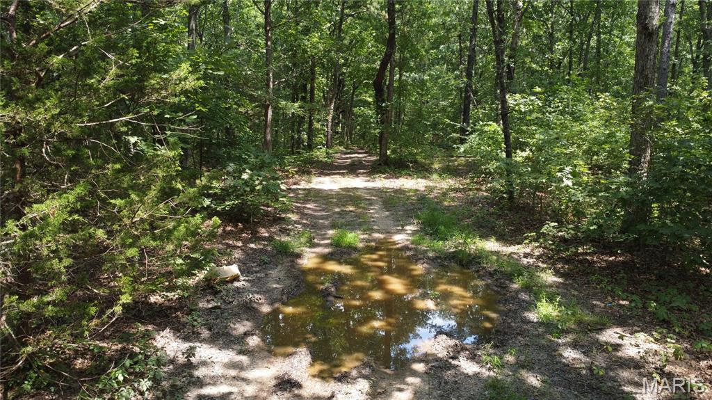 0 Singer Trail 3.84+/-Ac