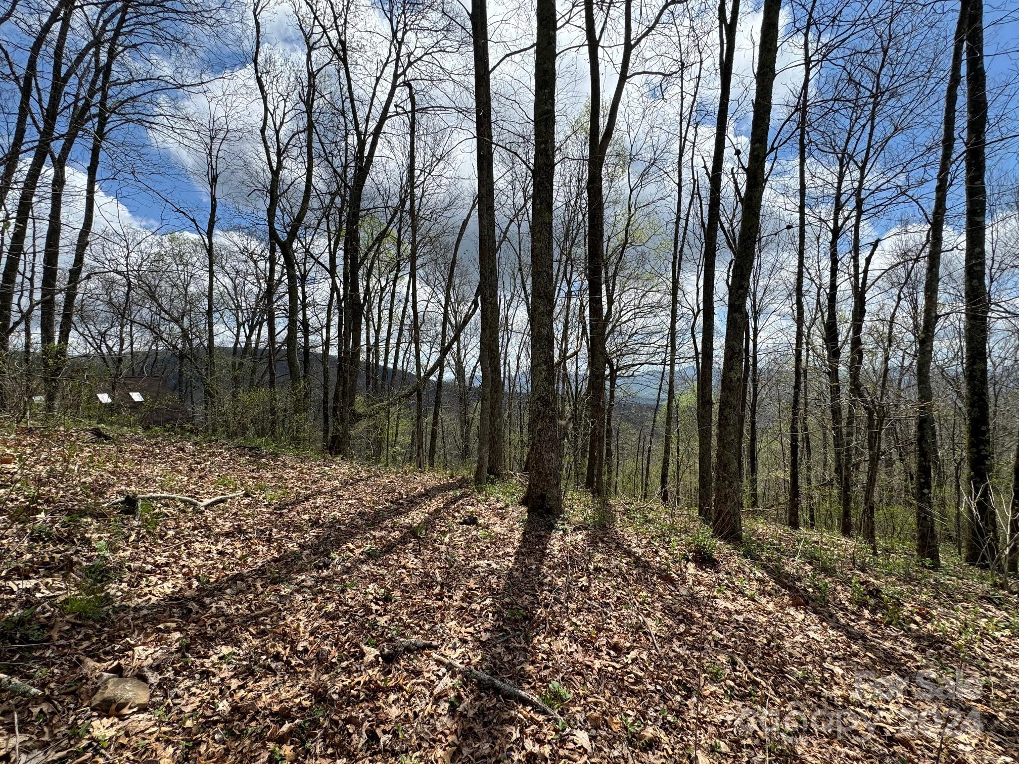 99999 Hickory Forest Road