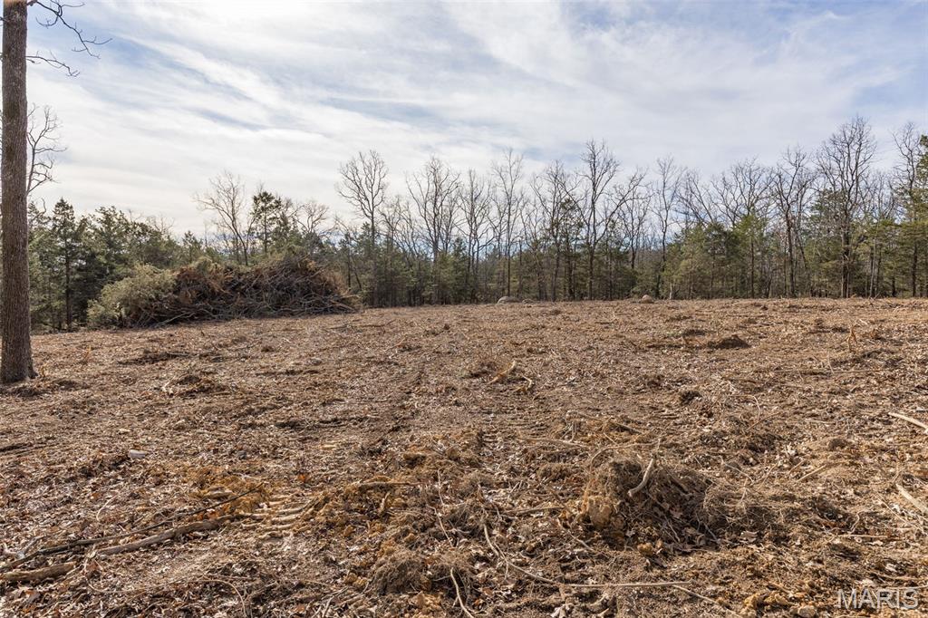 12.5+/- Acres On Effin Road