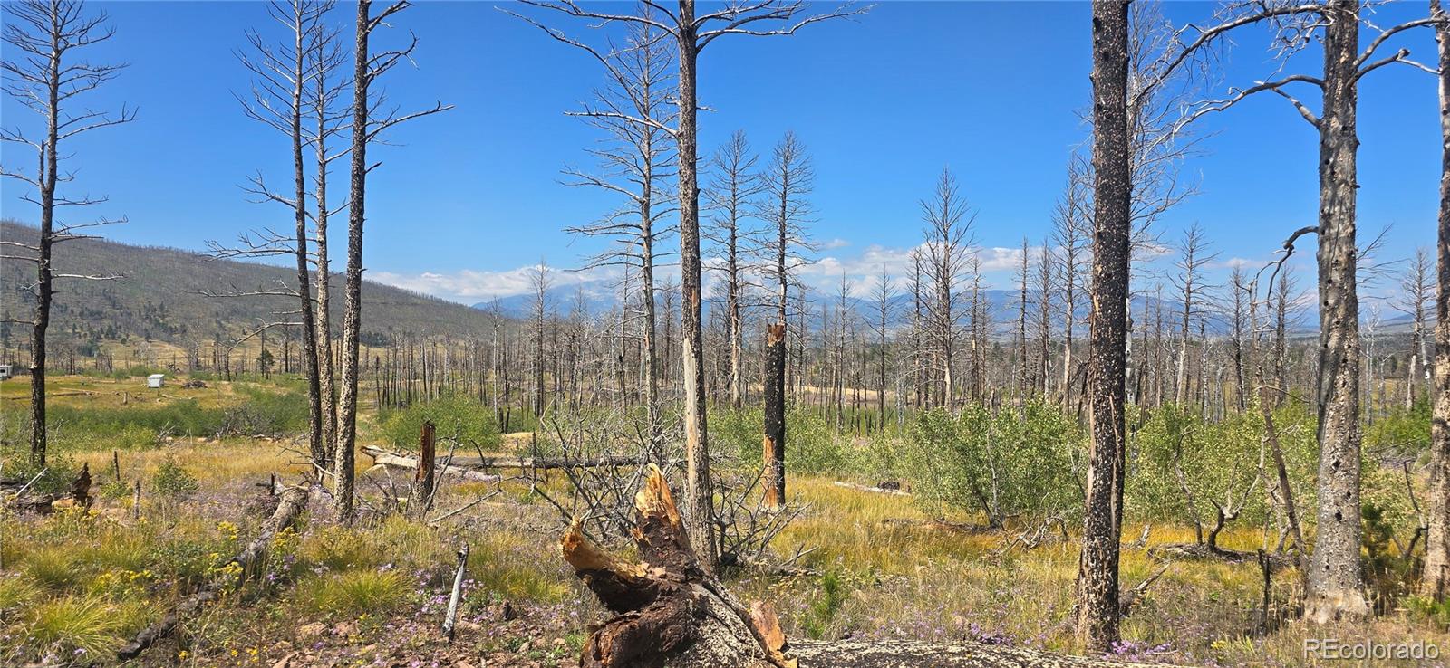 Lot 1242 Granville Loop