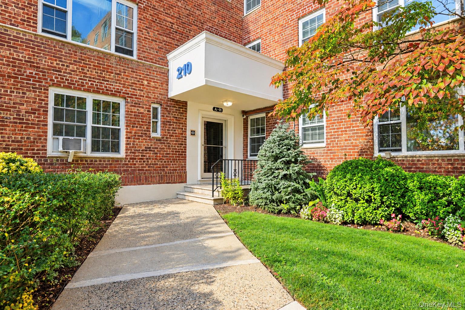 210 Pelham Road 4D