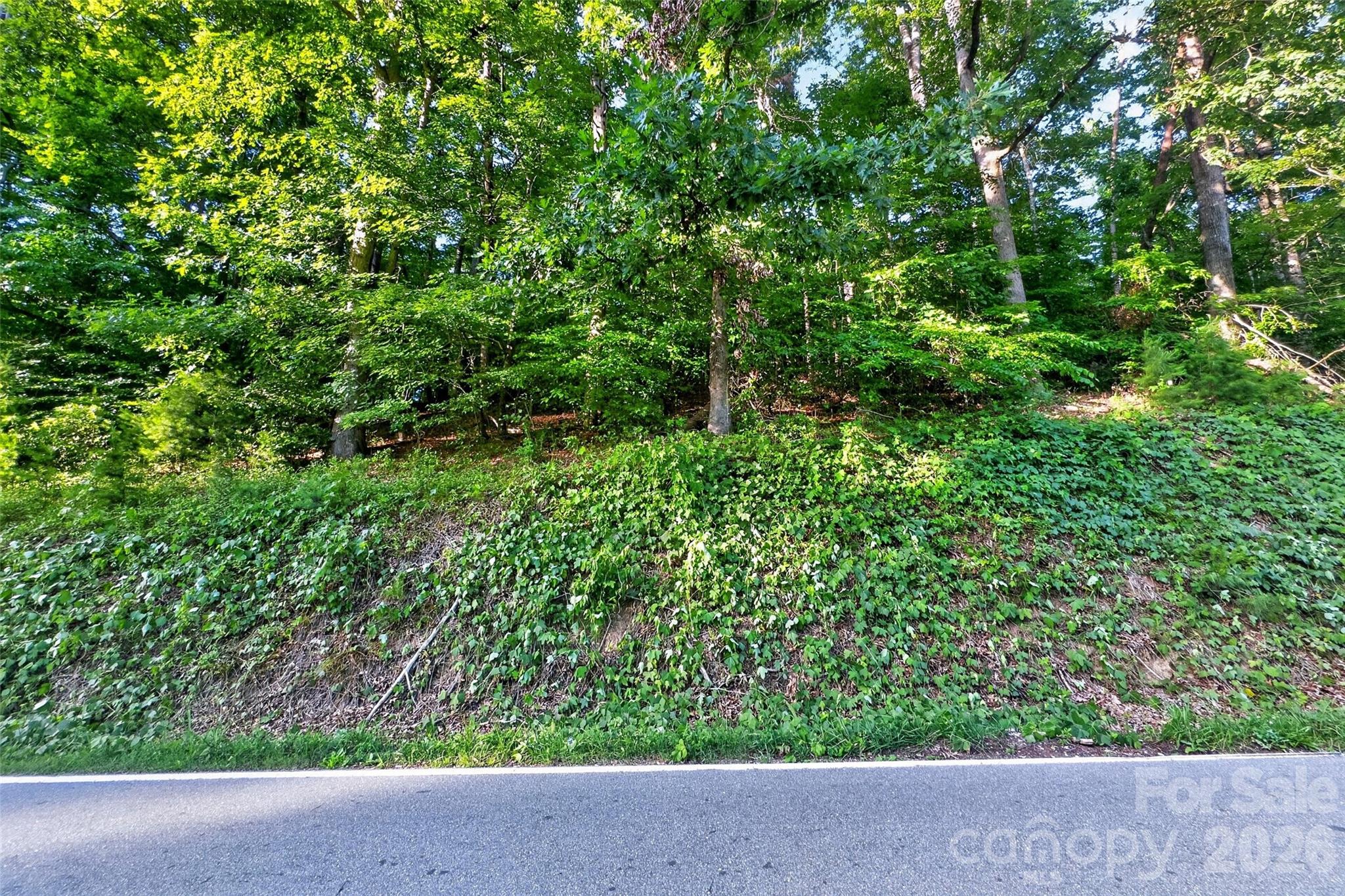 00 Yancey Road