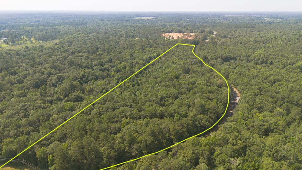 31.3 acres in beautiful Grady County, GA listed well under $10k an acre– ideal for hunting, farming, or timber investment! This versatile tract features mature pine and hardwood timber with potential for harvest. An excellent habitat for deer and turkey makes it a hunter's paradise. Open areas provide opportunities for small-scale farming, livestock, or creating a private homestead. A portion of the land is in a flood zone, offering rich soil and a haven for wildlife. Located in a peaceful rural setting with convenient access to nearby towns. Great mix of recreation, income potential, and natural beauty!