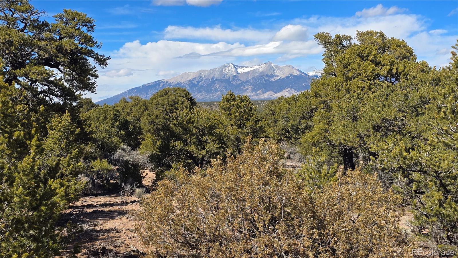 Lot 409 Williams Road